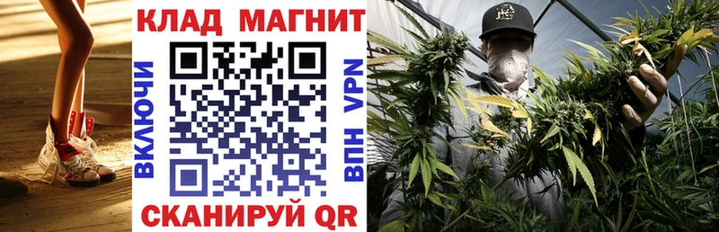 Каннабис Афипский