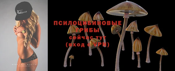 метадон Бородино
