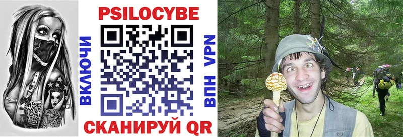 Галлюциногенные грибы Psilocybe  Афипский 